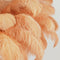 Light & Living Hanglamp Feather - Perzik - Ø80cm - Landelijk - Hanglampen Eetkamer, Slaapkamer, Woonkamer