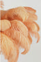 Light & Living Hanglamp Feather - Perzik - Ø80cm - Landelijk - Hanglampen Eetkamer, Slaapkamer, Woonkamer
