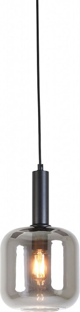 Light & Living Hanglamp Lekar - Ø21cm - Zwart