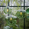 Light & Living Hanglamp Mayson - Glas Groen - Ø23cm - Modern - Hanglampen Eetkamer, Slaapkamer, Woonkamer