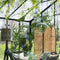 Light & Living Hanglamp Mayson - Glas Groen - Ø30cm - Modern - Hanglampen Eetkamer, Slaapkamer, Woonkamer
