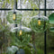 Light & Living Hanglamp Mayson - Glas Groen - Ø30cm - Modern - Hanglampen Eetkamer, Slaapkamer, Woonkamer