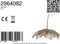 Light & Living Hanglamp Pavas - Beige - Ø54cm - Botanisch - Hanglampen Eetkamer, Slaapkamer, Woonkamer