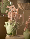 Light&living Kandelaar 4L 35x14x47 cm JARDIA crème