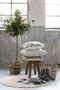 Light&Living -Kruk Hout - CEDRO - bruin - H 43 x 50 x 31 cm