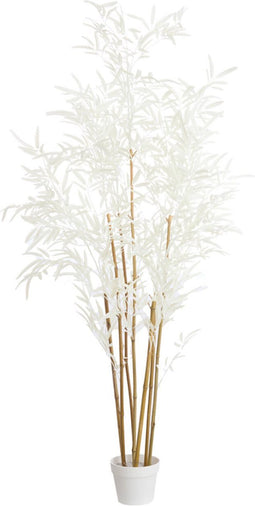 Light&living Ornament in pot 70x60x150 cm BAMBOO naturel+crème