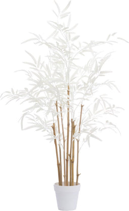 Light&living Ornament in pot 70x60x90 cm BAMBOO naturel+crème