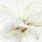 Light & Living Tafellamp Feather - Goud/Wit - Ø65cm - Modern - Kerst cadeau - Kerst cadeautjes - Cadeau vrouw - Cadeau man - Cadeau voor haar - Cadeau voor hem - Kerstcadeau - Kerst kado - Kado man - Kado vrouw