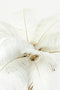 Light & Living Tafellamp Feather - Goud/Wit - Ø65cm - Modern - Kerst cadeau - Kerst cadeautjes - Cadeau vrouw - Cadeau man - Cadeau voor haar - Cadeau voor hem - Kerstcadeau - Kerst kado - Kado man - Kado vrouw