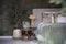 Light & Living Tafellamp Fugia - Jute - 47cm - Lichtgroen