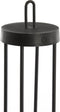 Light&living Tafellamp LED Ø13x50 cm ISALO zwart