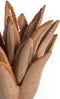 Light&living Theelicht Ø21x21 cm CACTUS keramiek bruin-grijs