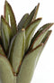 Light&living Theelicht Ø21x21 cm CACTUS keramiek donker groen
