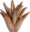 Light&living Theelicht Ø24,5x23 cm CACTUS keramiek bruin-grijs