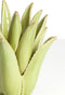 Light&living Theelicht Ø24,5x23 cm CACTUS keramiek licht groen