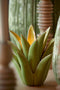 Light&living Theelicht Ø24,5x23 cm CACTUS keramiek licht groen