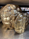 Light & Living TURTLE Vase M - 40,5x11x40 cm - Antiek Goud - Schildpad - Decoratie Vaas - Woondecoratie Schild - Gold - Dieren Vazen