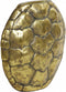 Light & Living TURTLE Vase M - 40,5x11x40 cm - Antiek Goud - Schildpad - Decoratie Vaas - Woondecoratie Schild - Gold - Dieren Vazen
