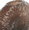 Light&living Vaas 40,5x11x30,5 cm CONCHA donker bruin