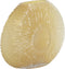 Light&living Vaas 40,5x11x30,5 cm CONCHA licht geel