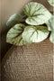 Light & Living Vaas Mashaba - Grijs - 50x20,5x45,5cm - Modern - Kerst cadeau - Kerst cadeautjes - Cadeau vrouw - Cadeau man - Cadeau voor haar - Cadeau voor hem - Kerstcadeau - Kerst kado - Kado man - Kado vrouw
