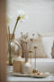 Light&living Vaas Ø16x29 cm MOLUSI glas crème-goud