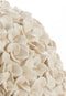 Light & Living Vaas Phylia - Crème - Ø47,5cm - Modern - Kerst cadeau - Kerst cadeautjes - Cadeau vrouw - Cadeau man - Cadeau voor haar - Cadeau voor hem - Kerstcadeau - Kerst kado - Kado man - Kado vrouw