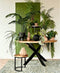 Light & Living Vaas Skeld S - Polyresin - Zwart - 20 x 19 x 20 cm (BxHxD)