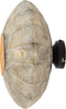 Light & Living Wandlamp Lavello - Goud - 37.5x37.5x22cm - Binnen Modern