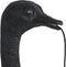 Light & Living Wandlamp Ostrich - Zwart - 18x15.5x57.5cm - Binnen Modern