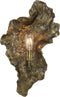 Light & Living - Wandlamp SIDOMI - 37x13x62cm - Brons