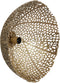 Light & Living Wandlamp Sinula - 45cm - Goud