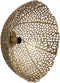 Light & Living Wandlamp Sinula - 45cm - Goud