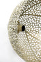 Light & Living Wandlamp Sinula - 45cm - Goud