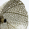Light & Living Wandlamp Sinula - 45cm - Goud