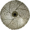 Light & Living Wandlamp Sinula - 45cm - Goud