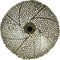 Light & Living Wandlamp Sinula - Goud - Ø39cm - Binnen Modern