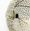 Light & Living Wandlamp Sinula - Goud - Ø39cm - Binnen Modern