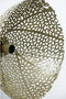 Light & Living Wandlamp Sinula - Goud - Ø39cm - Binnen Modern