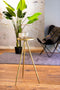 Light & Living Zuil Envira - Antiek Goud - Ø30cm - Luxe