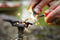 Light My Fire - Swedish Firesteel - Bio - Scout - Rocky Red