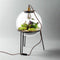 Growing Concepts DIY Duurzaam Ecosysteem Demeter lamp - H38xØ37cm