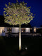 Lina Prikspot 5W - Tuinverlichting - Tuinspot - Laagspanning 24V - Zwart -