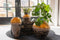 Lindy Ochre okergele pot 19 cm ronde bloempot voor binnen