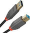 LINDY USB-kabel USB 3.2 Gen1 (USB 3.0 / USB 3.1 Gen1) USB-A stekker, USB-B stekker 3.00 m Zwart 36743