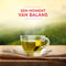 Lipton Feel Good Selection Klassieke groene Thee - 6 x 25 zakjes - Voordeelverpakking