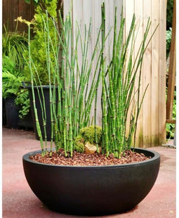 Bloempot Riviera RIVIERA Zwart Ø 40 cm