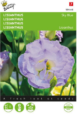 Lisianthus Sky Blue