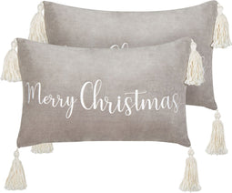 LITHOPS - Sierkussen set van 2 - Grijs - Fluweel