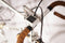 LITTA 2 Fietsverlichting op zonne-energie - Wit (set)